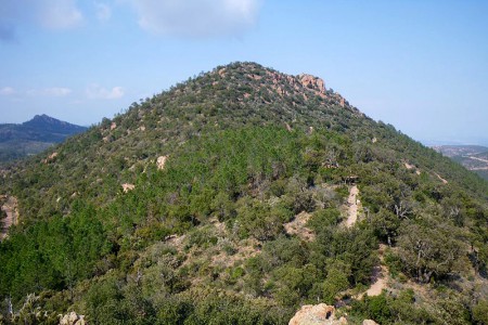 Les grosses grues - alt. 440 m