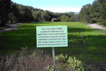 Le vallon de Marcellin