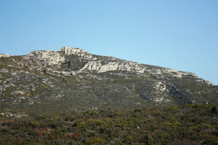 Le Taoumé ou le Tubé