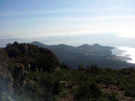Les îles de Lérins vues des petites grues