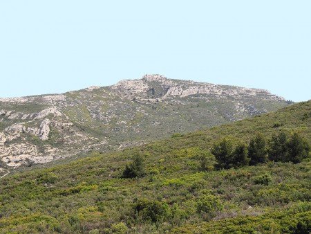 Le Taoumé ou le Tubé