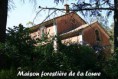/album/galerie-de-photos-%3a-les-maisons-foresti%c3%a8res/maisonforestieredelalouve-jpg1/